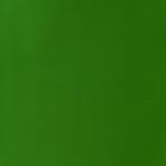 Sap Green